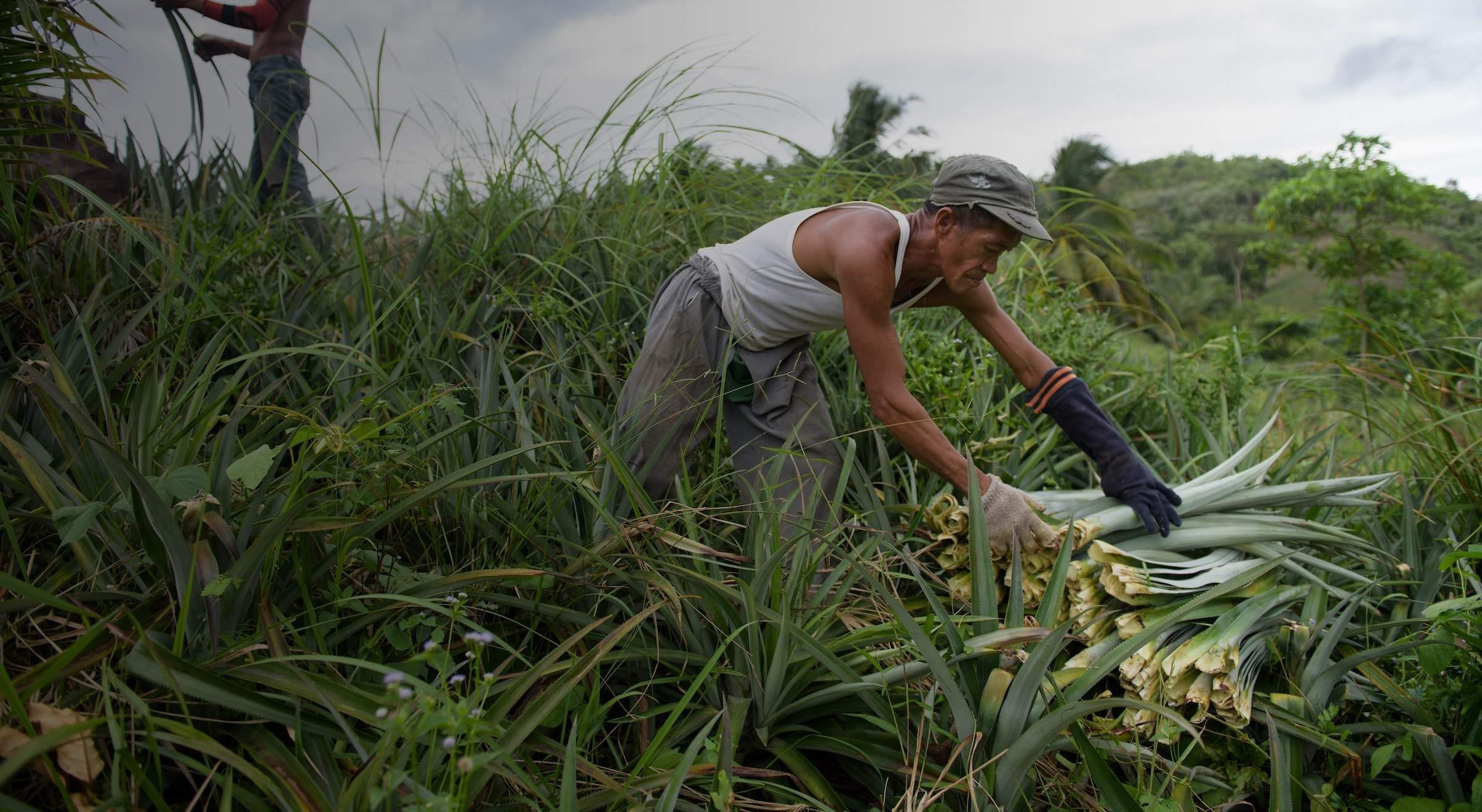 From Orchard to Runway: The New Guard of Bio-Luxury