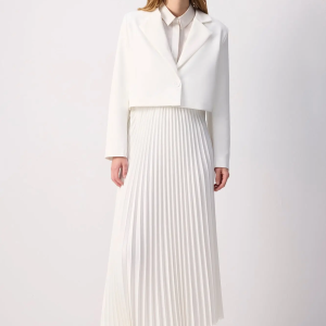 Cropped Blazer & Pleated Maxi Skirt Set