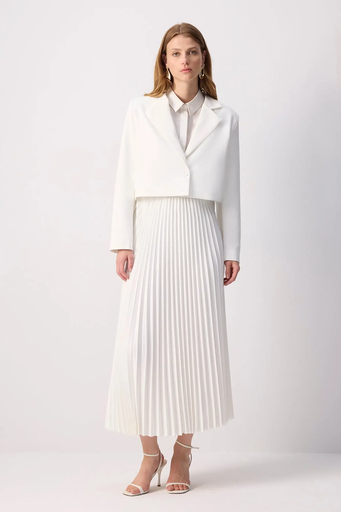 Cropped Blazer & Pleated Maxi Skirt Set