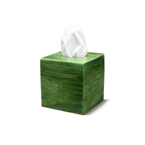 Emerald Maize Tissue Box