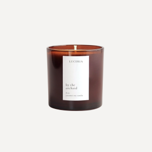 By the Orchard Candle | Non-Toxic Soy Wax | Citrus Scented By the Orchard Candle | Non-Toxic Soy Wax | Citrus Scented
